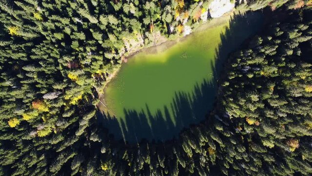 Field, lake and bridge from a bird's-eye view. Beautiful autumn. Drone video. Autumn forest and blue lake. Black river. Blue water. Ducks on the water. Autumn landscape. Gray fields. 