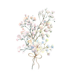 A gypsophila branch hand drawn in watercolor isolated on a white background. Vintage little white flowers bouquet with bow for Valentine's Day, wedding and other events.