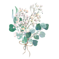 Watercolor bouquet, gypsophila branch and eucalyptus branches, isolated on white background. For the design and decoration of wedding and greeting cards.