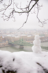 Snowman with green bridge in the background 