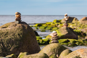 Green algae covered boulders at sea coast beach. Sea algae or Green moss stuck on stone