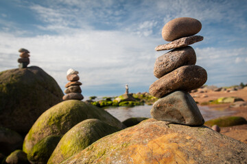 Green algae covered boulders at sea coast beach. Sea algae or Green moss stuck on stone
