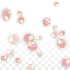 Pink Vector Realistic Petals Falling on Transparent Background.  Spring Romantic Flowers Illustration. Flying Petals. Sakura Spa Design. Blossom Confetti. Design Elements for Wedding Decoration.