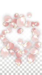 Pink Vector Realistic Petals Falling on Transparent Background.  Spring Romantic Flowers Illustration. Flying Petals. Sakura Spa Design. Blossom Confetti. Design Elements for Wedding Decoration.
