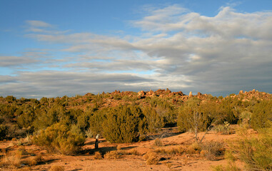 arizona desert late afternoon landscape