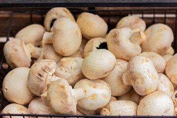champignon mushrooms on counter of vegetable market, healthy and vegetarian food