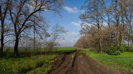 Fototapeta na wymiar Autumn rural landscape with a bad road, panorama
