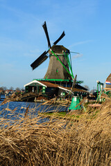 Mulino a vento sulla riva di un canale (Zaanse Schans, Amsterdam, Olanda)