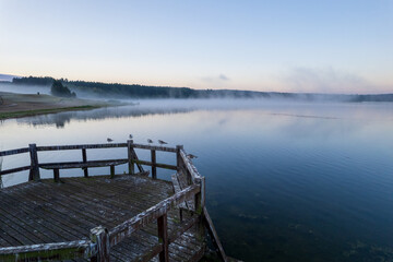 Seagulls, birds sitting on the pier by the lake in the morning fog.