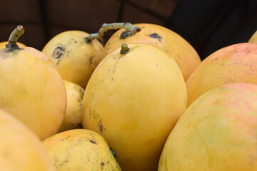 mango podang typical tropical fruit