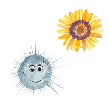 Cute urchin and ursinis isolated on white background. Watercolor hand drawn illustration. Perfect for kid cards, prints, alphabet design.