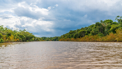 Fototapeta na wymiar The beautiful Amazon River