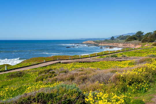 Beautiful ocean coast in Cambria, California, in warm weather. Walking path along the park