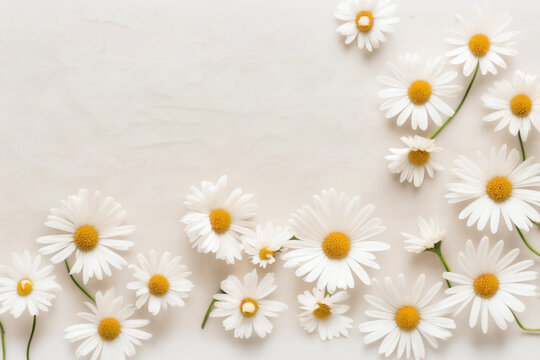 Daisy Flower Background - Fresh white daisy flowers against a soft beige background - Generative AI technology