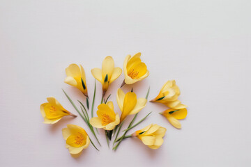 Crocus Flower Background - Cheerful yellow crocus flowers against a soft beige background - Generative AI technology