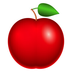 Apple fruit illustration