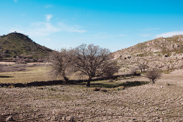 landscape in the mountains