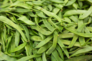 Abundance of raw green beans. Young, unripe pods of bean.