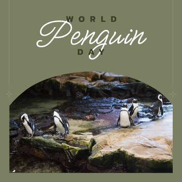 Composition of world penguin day text over penguins