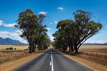Road to the rocky mountains Stirling Range or Koikyennuruff landscape scenery, beautiful mountain National Park in Western Australia, with the highest peak Bluff Knoll