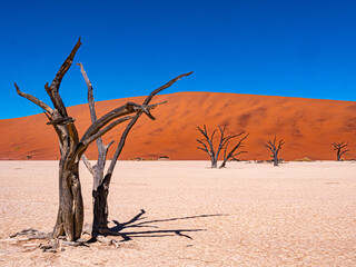 Namibie, Sossuvlei et Deadvlei