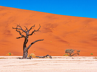 Namibie, Sossuvlei et Deadvlei