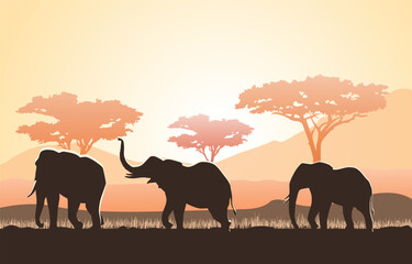 Fototapeta na wymiar African elephants in savanna. Silhouettes of tropical and exotic animals against background of sunrise or sunset. Africa panorama, wild life, flora and fauna. Cartoon flat vector illustration