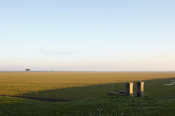 Plains with tree and fountain in Delta del Po