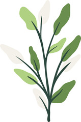 Fototapeta na wymiar Green botanical leaves illustration