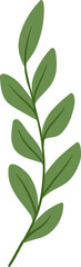 Green botanical leaves illustration