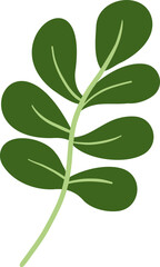 Green botanical leaves illustration