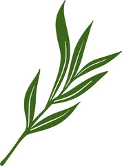 Green botanical leaves illustration