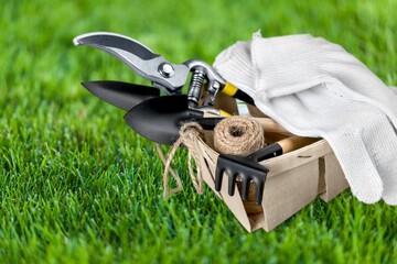 Tools for pruning trees on ground in garden