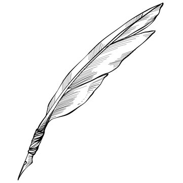 Feather Quill Pen Images – Browse 255,070 Stock Photos, Vectors, and Video