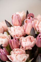 Fresh blooming pink tulips