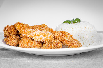Delicious Fried Chicken in a white porcelain dish with rice and coriander detail. Marbled background