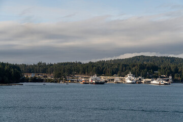 Fototapeta na wymiar view of swartz bay harbor, british columbia, canada