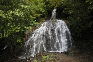 Obraz premium Picturesque view of small waterfall in forest