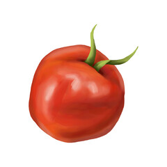 Red ripe fleshy tomato. Digital illustration on a white background