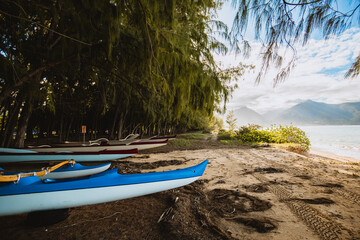 Obraz na płótnie Canvas Ocean kayaks under palm trees on a beach in tropical Maui, Hawaii.