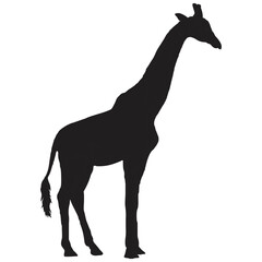 giraffe silhouette