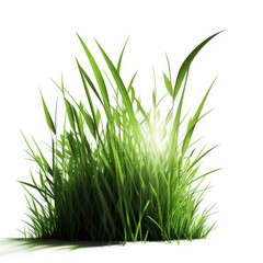 Green grass, digital illustration, generative ai, foliage