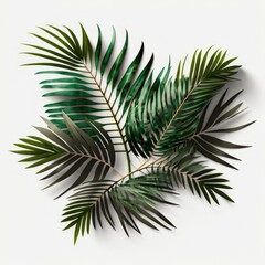 Jungle leaves on a white background, generative ai
