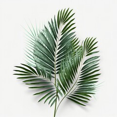Jungle leaves on a white background, generative ai