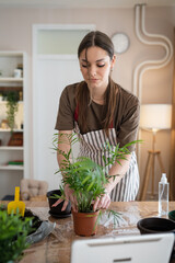 woman gardener florist take care grow cultivate plants at home