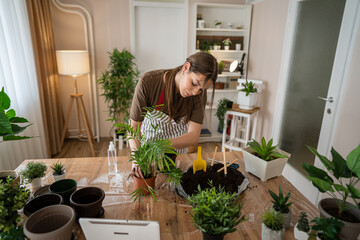 woman gardener florist take care grow cultivate plants at home