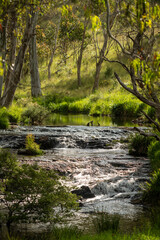 Fototapeta na wymiar Meldrum Creek near, Dorrigo, New South Wales