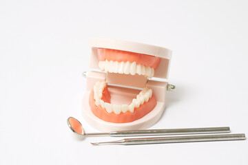 歯科健診イメージ