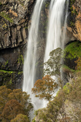 Fototapeta premium Ebor Falls, Guy Fawkes River National Park, NSW