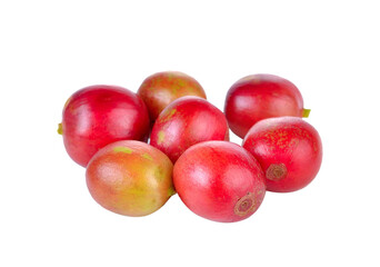  Coffee bean on transparent png